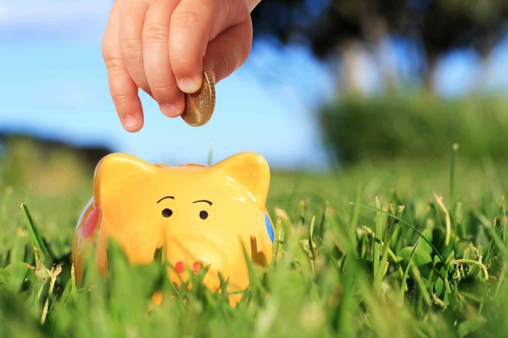 https://esataccounting.com.au/wp-content/uploads/2016/07/portfolio_03.jpg